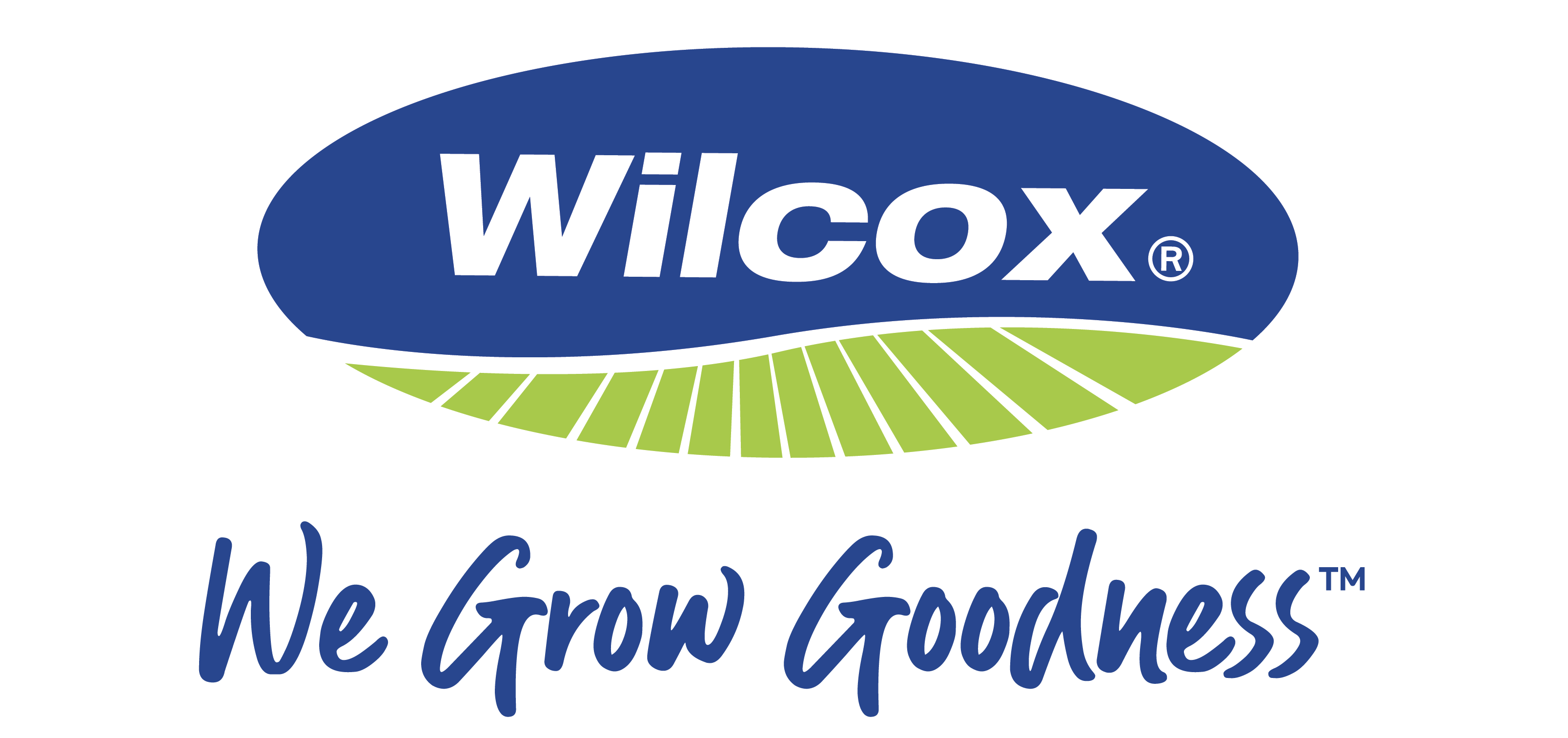 Fresh new season potatoes